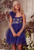 tutu-blue-dress_small