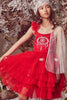 tutu-red-dress-pic_small